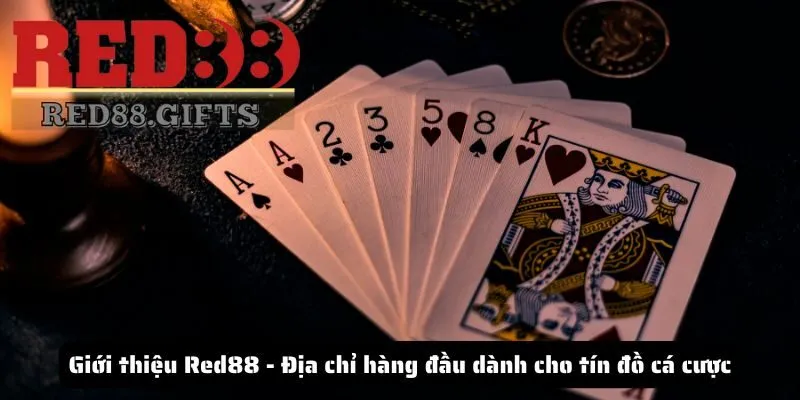 Giới thiệu Red88 - Địa chỉ hàng đầu dành cho tín đồ cá cược - cemuxa