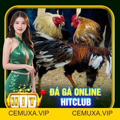 Đá Gà Online Hitclub | Đỉnh Cao Đặt Cược Kịch Tính Từng Giây - cemuxa