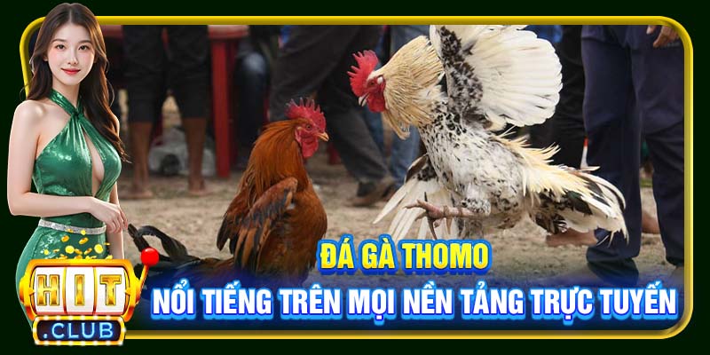 Đá Gà Online Hitclub | Đỉnh Cao Đặt Cược Kịch Tính Từng Giây - cemuxa