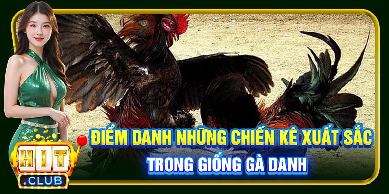 Gà Danh Thomo Hitclub | Chiến Kê Huyền Thoại Cùng Kỳ Tích - cemuxa
