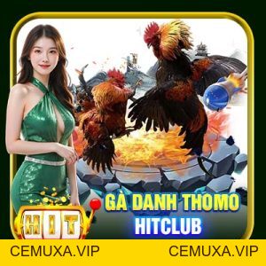 Khám Phá Đá Gà HitClub - Chăm Sóc Sở Hữu Chiến Thần Gà Đá #1 - cemuxa