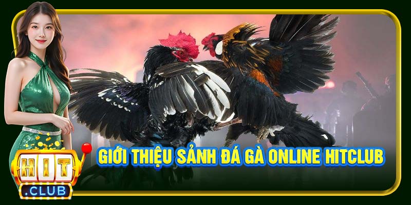 Đá Gà Online Hitclub | Đỉnh Cao Đặt Cược Kịch Tính Từng Giây - cemuxa