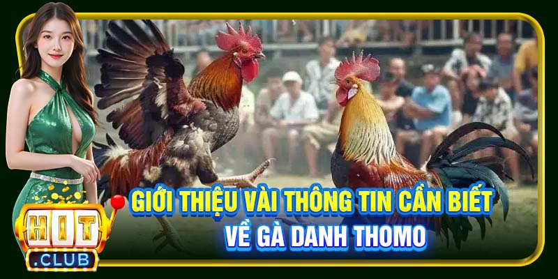 Gà Danh Thomo Hitclub | Chiến Kê Huyền Thoại Cùng Kỳ Tích - cemuxa