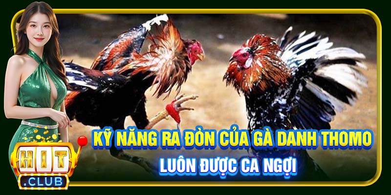 Gà Danh Thomo Hitclub | Chiến Kê Huyền Thoại Cùng Kỳ Tích - cemuxa