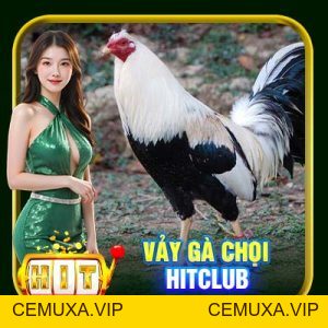 Khám Phá Đá Gà HitClub - Chăm Sóc Sở Hữu Chiến Thần Gà Đá #1 - cemuxa