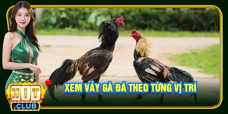 Vảy Gà Chọi Hitclub | Cách Để Nhận Biết Chiến Kê Chất Lượng - cemuxa