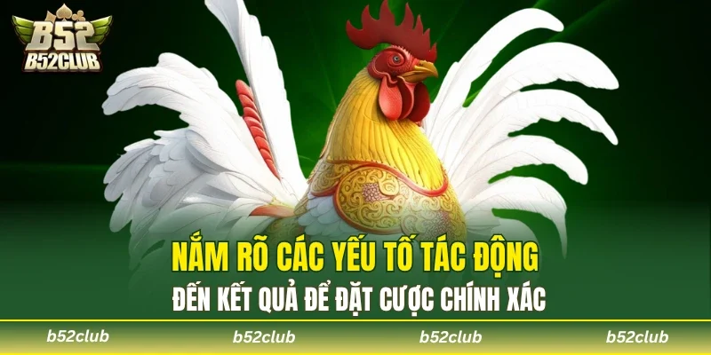 Cách Bắt Kèo Đá Gà - Chuẩn Xác Từng Trận Tại B52club - cemuxa