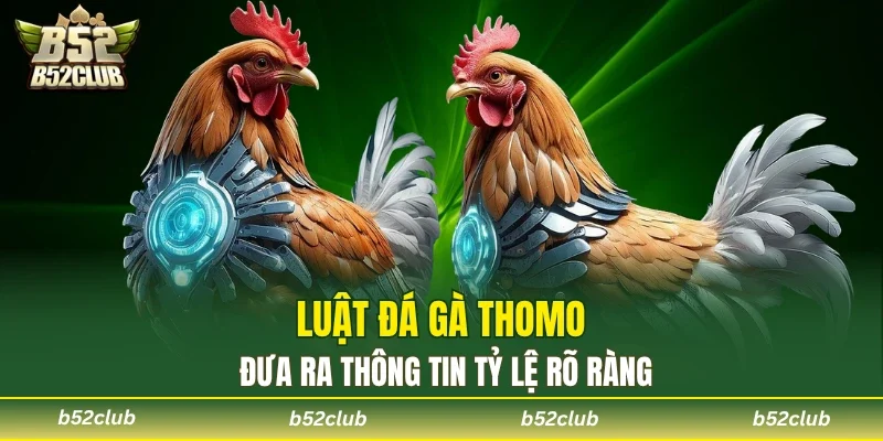 Luật Đá Gà Thomo - Trường Đấu Đầy Kịch Tính Tại B52club - cemuxa