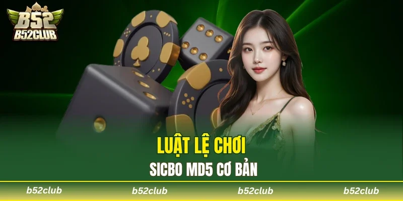 Tài Xỉu MD5 B52club - Siêu Phẩm Giải Trí Online 2026 - cemuxa
